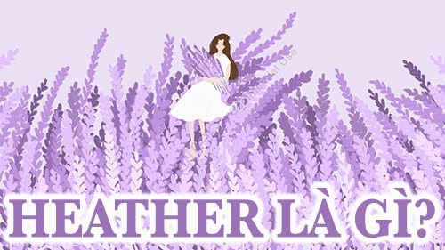 Heather là gì?